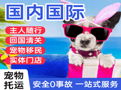 北京首都航空货运国际宠物托运 【国